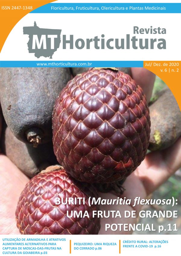					View Vol. 6 No. 2 (2020): BURITI (Mauritia flexuosa): UMA FRUTA DE GRANDE POTENCIAL
				